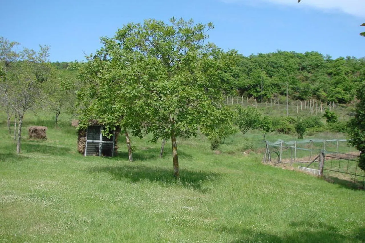 Holiday home Casa Vacanza Le Corniole Civitella in Val di Chiana Italy